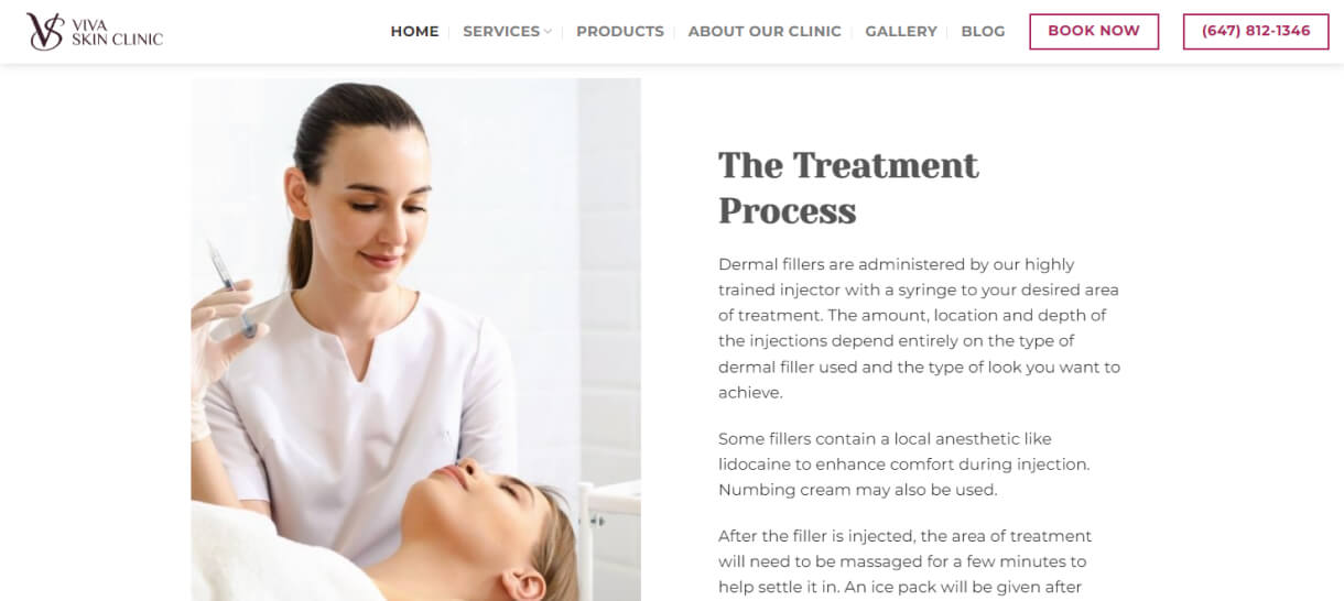 viva skin clinic web design and development