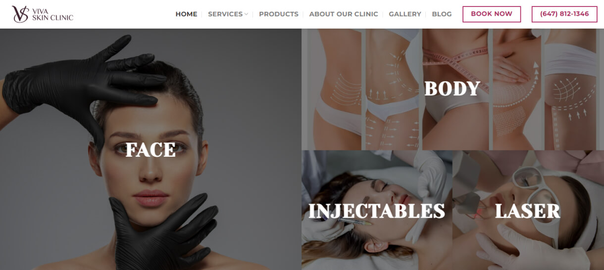 viva skin clinic web development