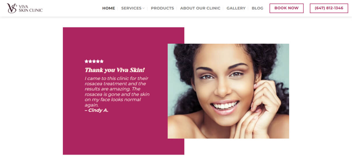 viva skin clinic website development