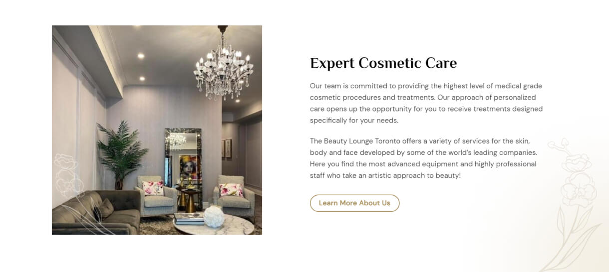 web design for the beauty lounge toronto