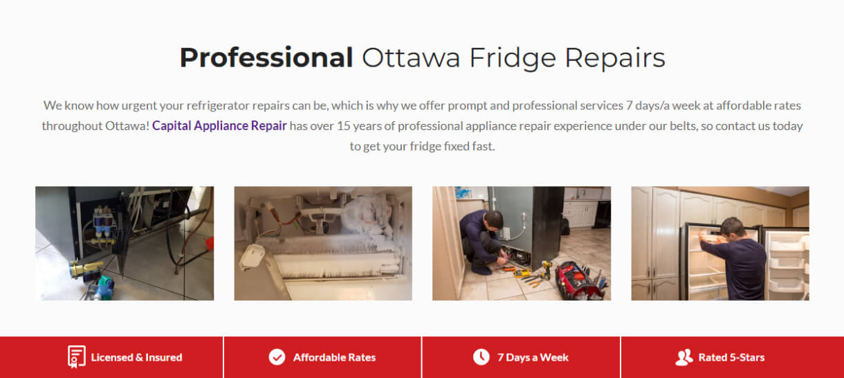 web development for capital appliance repair