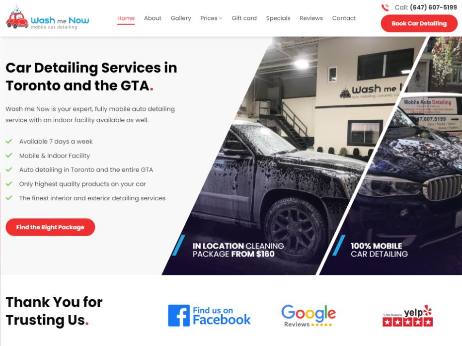 web development for car detailing company