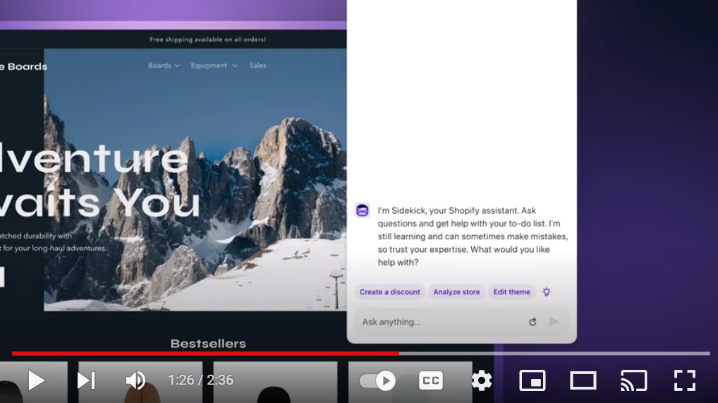 Shopify Sidekick, AI-Powered Customer Platform, ONE AI