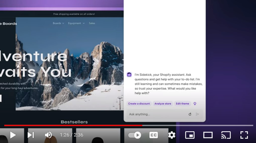 what is shopify sidekick