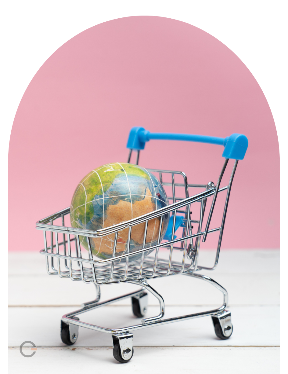 shopify store services