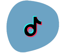 tiktok social media management
